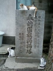 ¥Õ¥ì¡¼¥à
